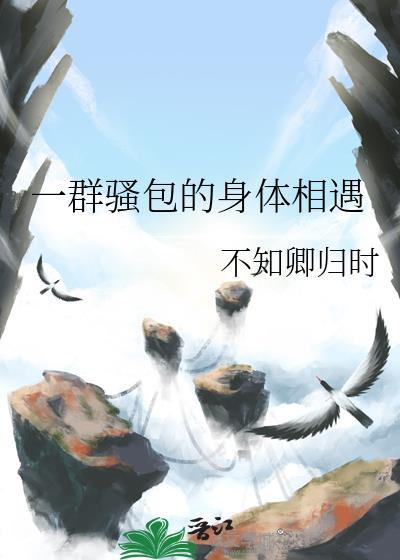 一群骚包的身体相遇封面