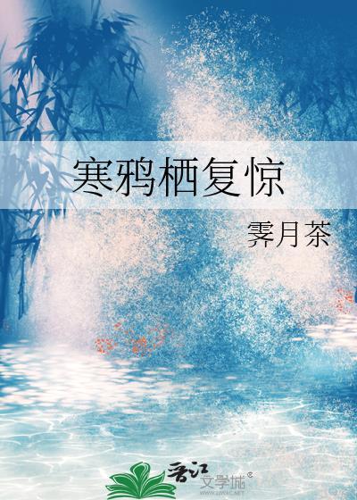 寒鸦栖覆惊封面