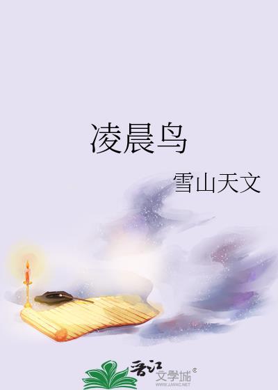 凌晨鸟封面