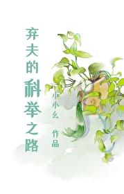 弃夫的科举之路封面