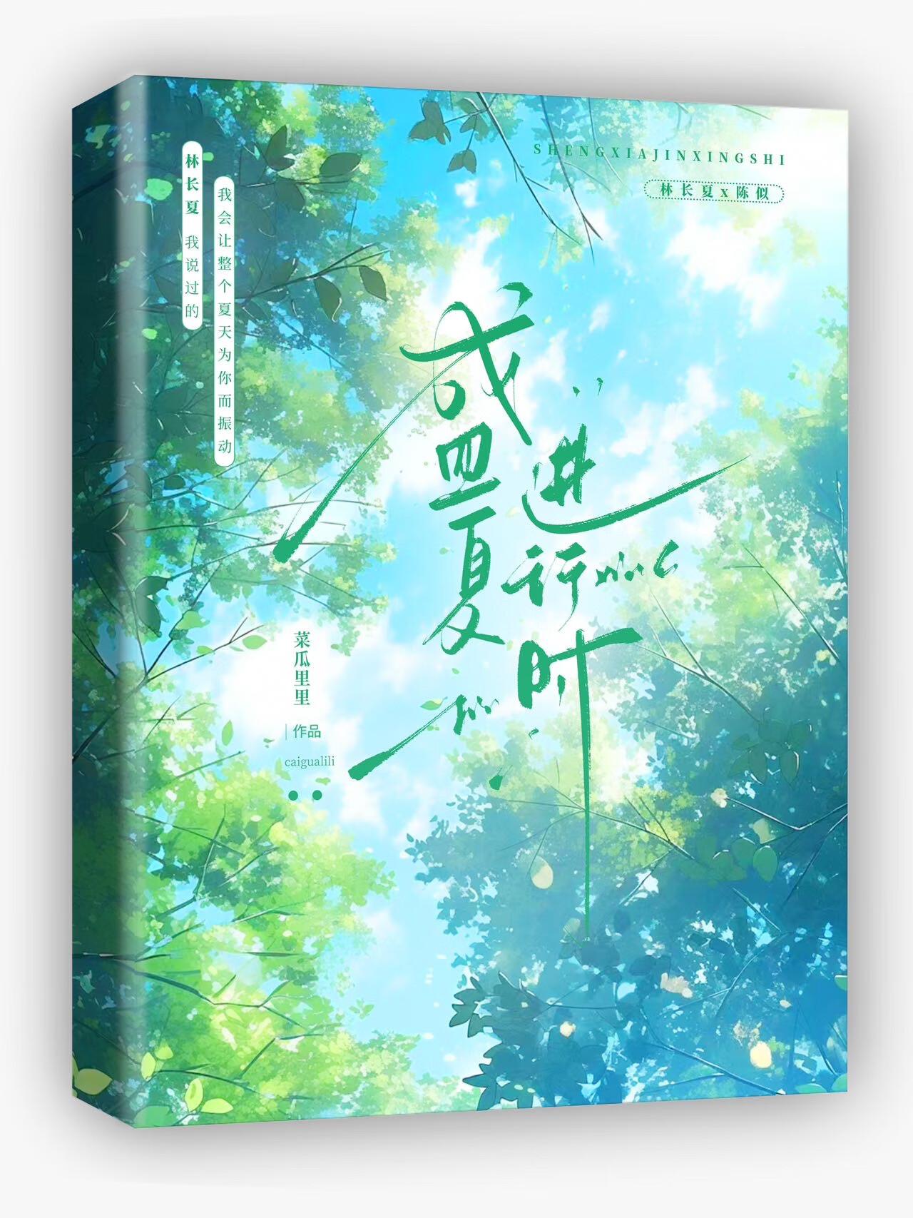 我们是盛夏进行时封面