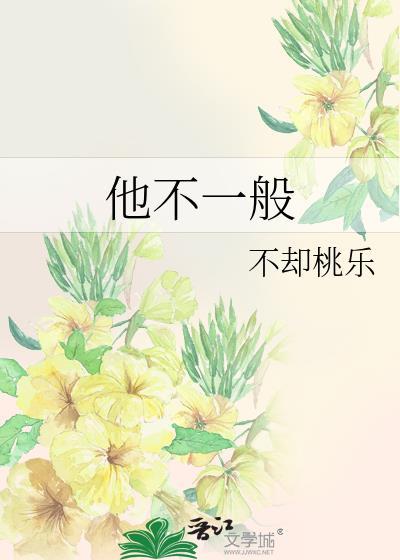 他不一般封面