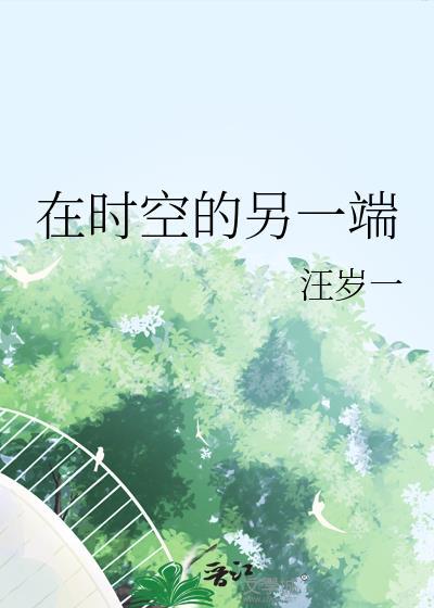 在时空的另一端封面