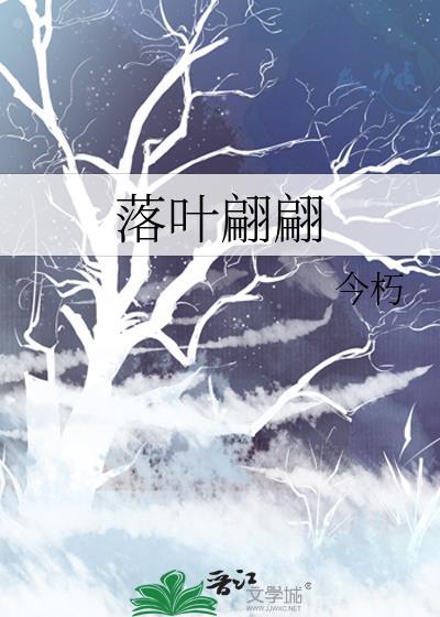 落叶翩翩封面
