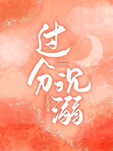 过分沈溺封面