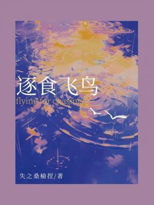 逐食飞鸟封面