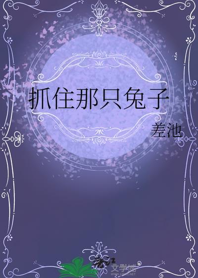 抓住那只兔子封面