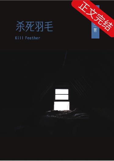 杀死羽毛/Kill Feather封面