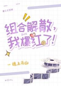 组合解散，我爆红了！封面