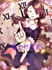 星光祈愿录封面