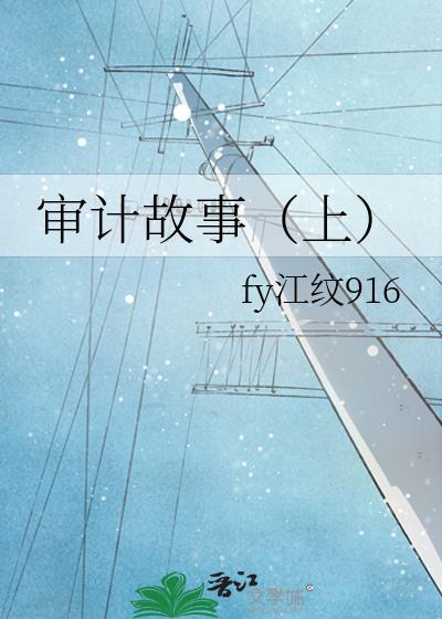 审计故事（上）封面