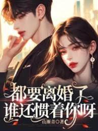都要离婚了，谁还惯着你呀封面