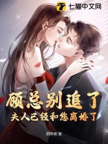 顾总别追了，夫人已经和您离婚了封面