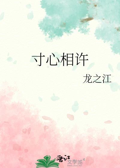 寸心相许封面