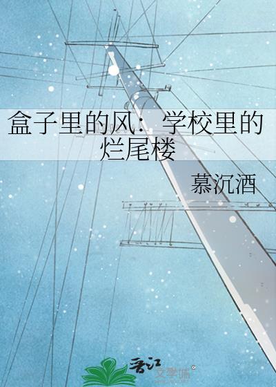 盒子裏的风：学校裏的烂尾楼封面