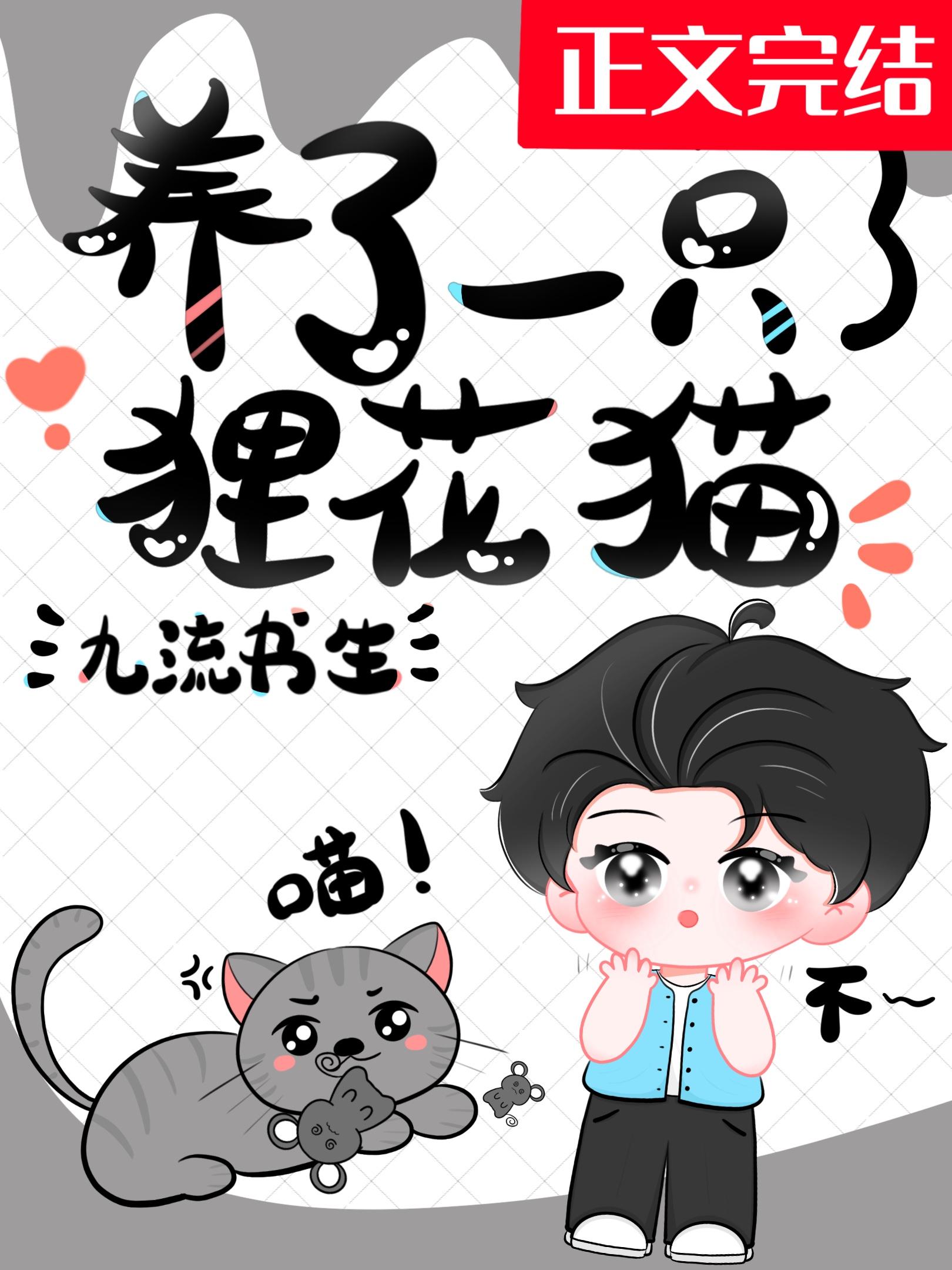 养了一只貍花猫封面