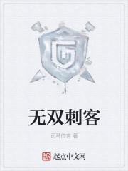 无双刺客封面
