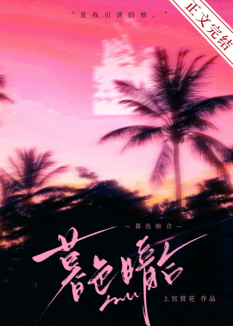 暮色暗合封面