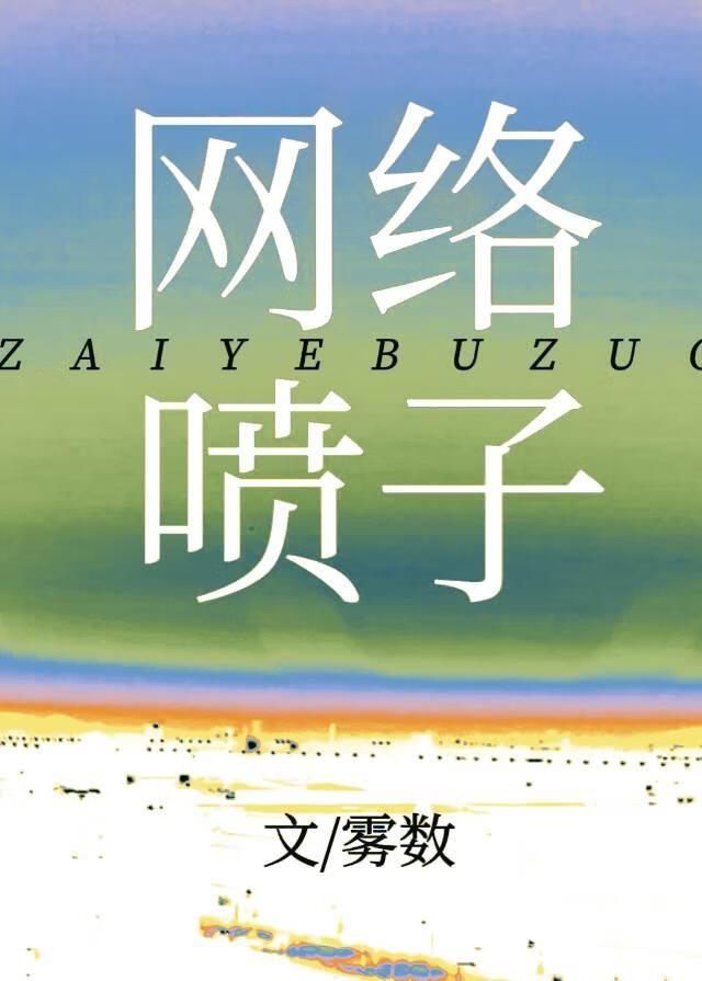 再也不做网络喷子了封面