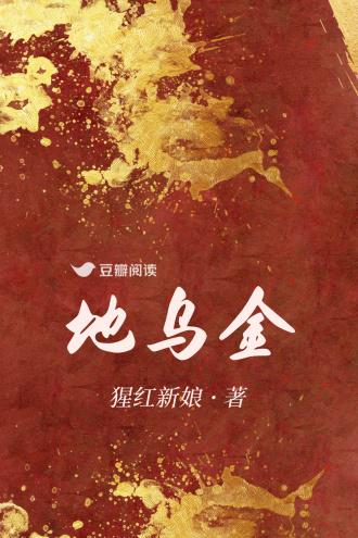 地乌金封面