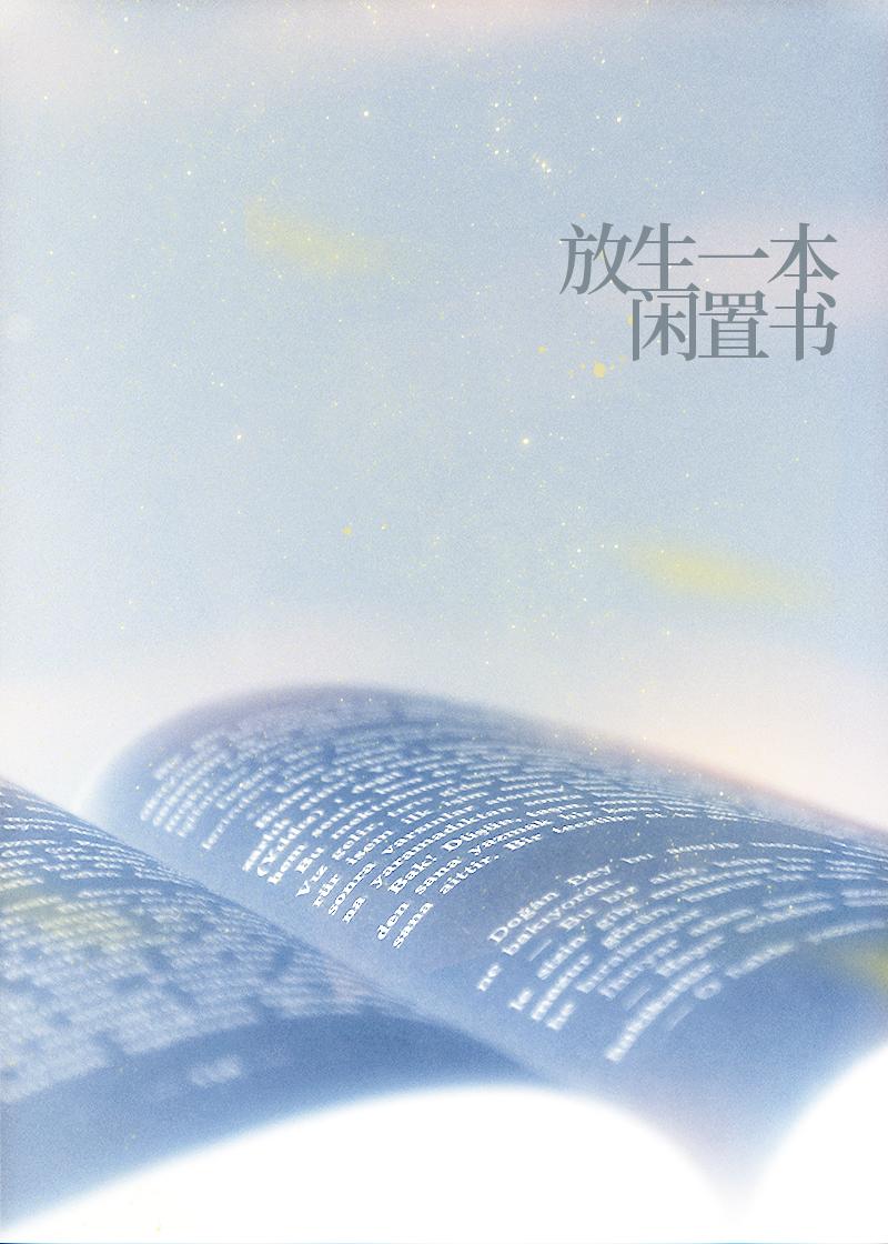 放生一本闲置书封面