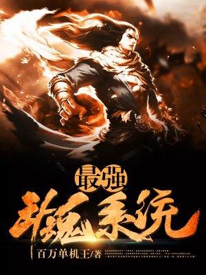 最强斗魂系统封面
