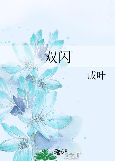 双闪封面