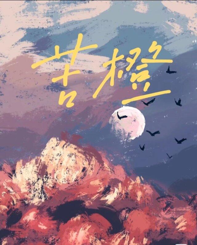 苦橙封面