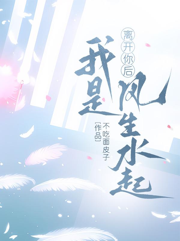 离开你后我是风生水起封面
