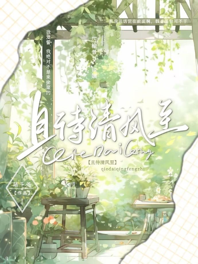 且待清风至封面