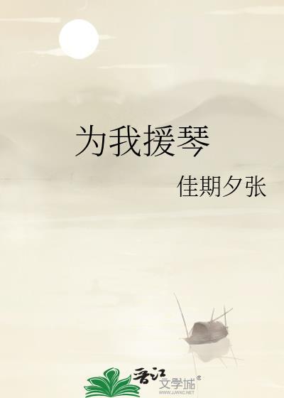 为我援琴封面