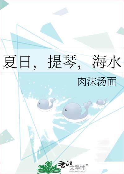 夏日，提琴，海水封面
