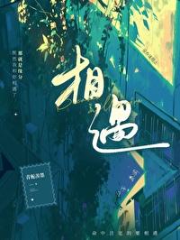 相遇封面