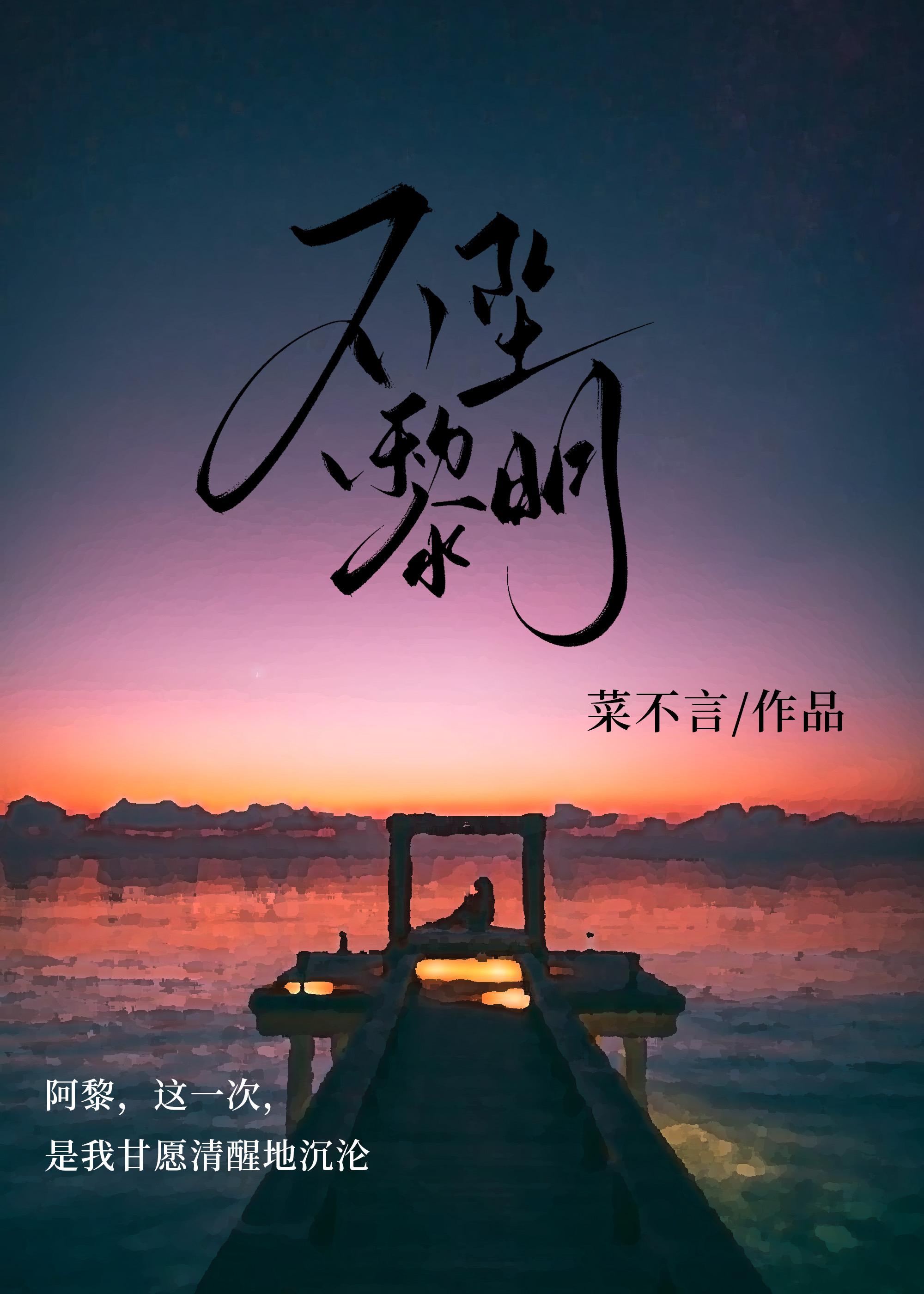 不坠黎明封面