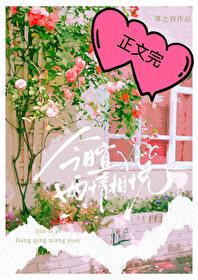 今日宜两情相悦封面