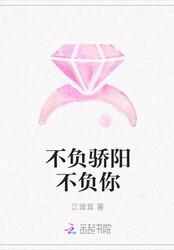 不负骄阳不负你封面