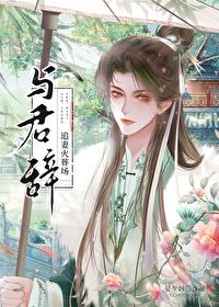 与君辞封面