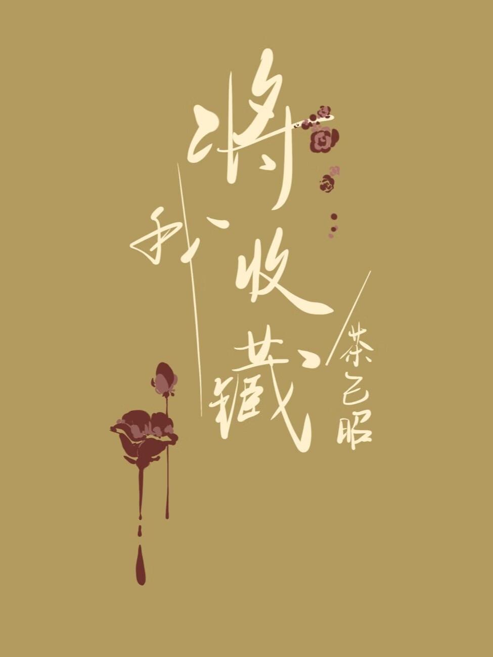 将我收藏封面