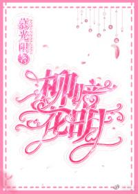 柳暗花明封面