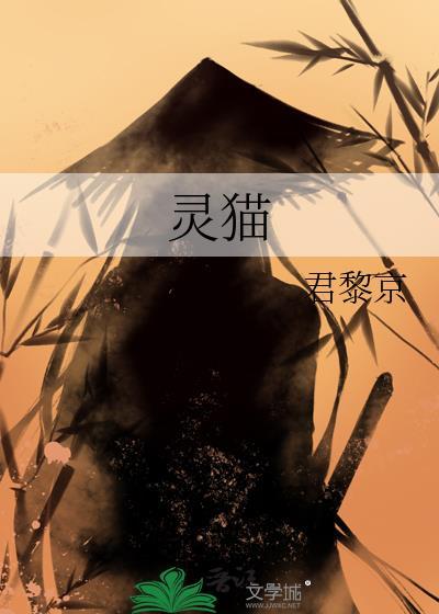 灵猫封面