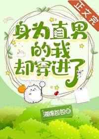 身为直男的我却穿进了封面