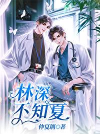林深不知夏封面