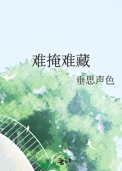 难掩难藏封面