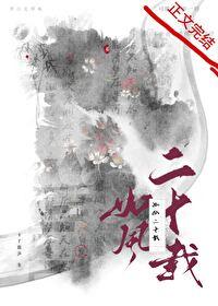 如风二十载封面