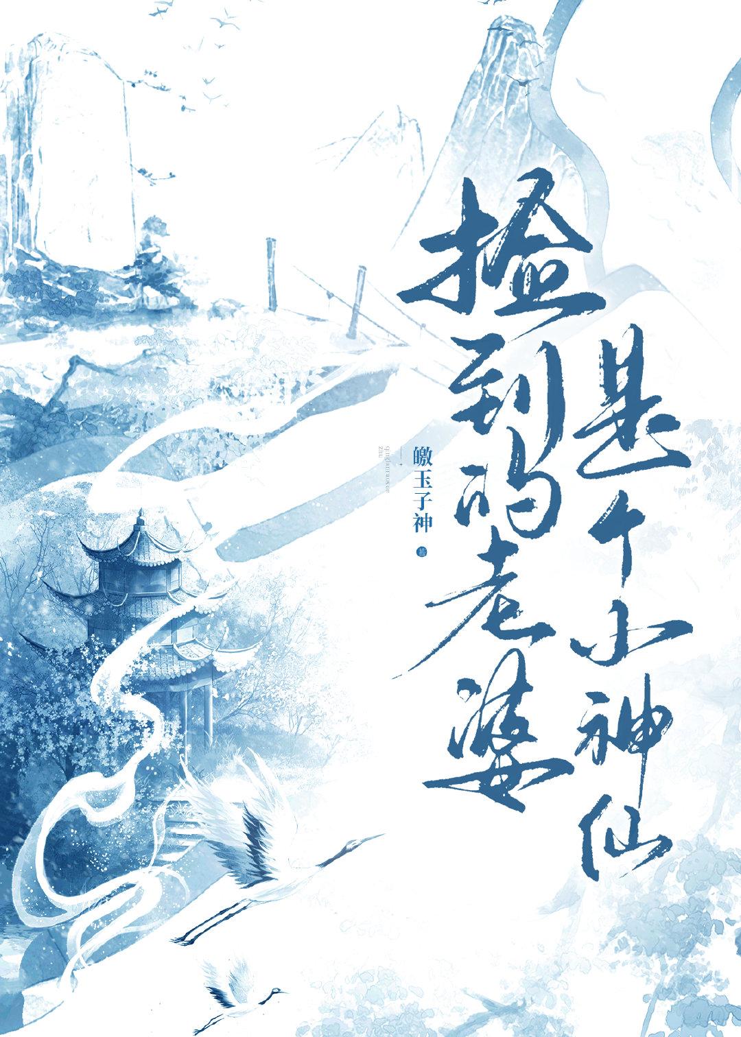 捡到的老婆是个小神仙封面