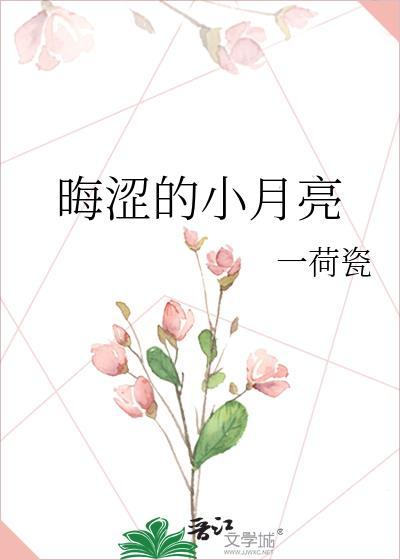 晦涩的小月亮封面