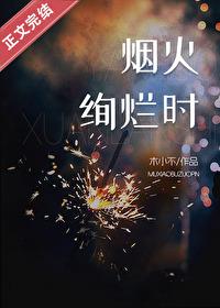 烟火绚烂时封面