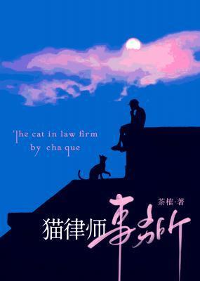 猫律师事务所封面