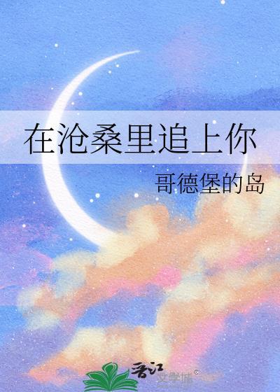 在沧桑裏追上你封面
