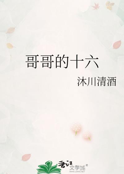 哥哥的十六封面
